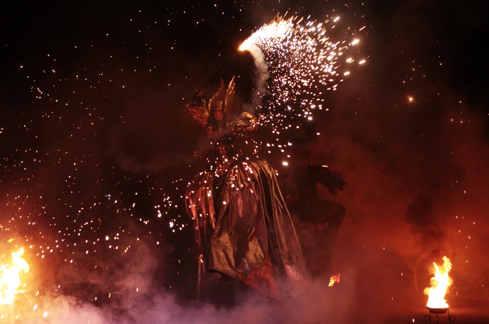 Сказочное фаер шоу Эльфийская ночь