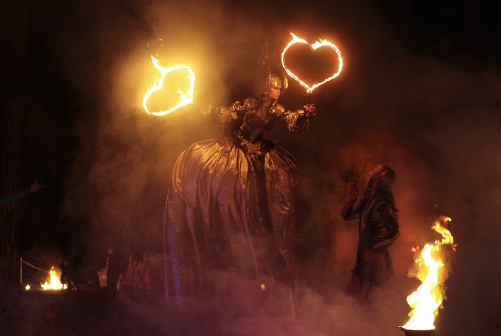 Сказочное фаер шоу Эльфийская ночь 