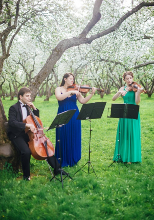 welcome-зона на свадьбе, скрипка на свадьбе, AMORE QUARTET