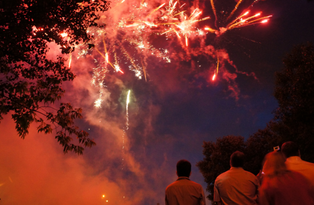  свадебный фейерверк, шоу ФЕЙЕРВЕРКИ PROFSALUT