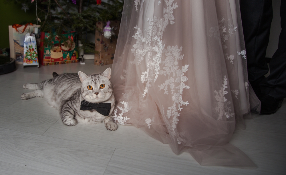 Wedding story Aleksandr&Irina.