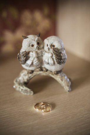 Совы и кольца