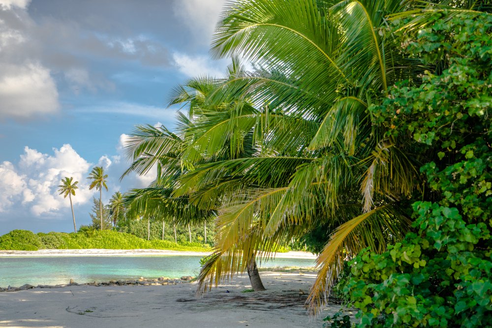 Фотограф на мальдивах