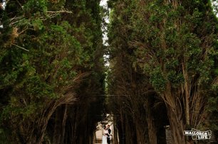 Фотосессия молодоженов в лесу