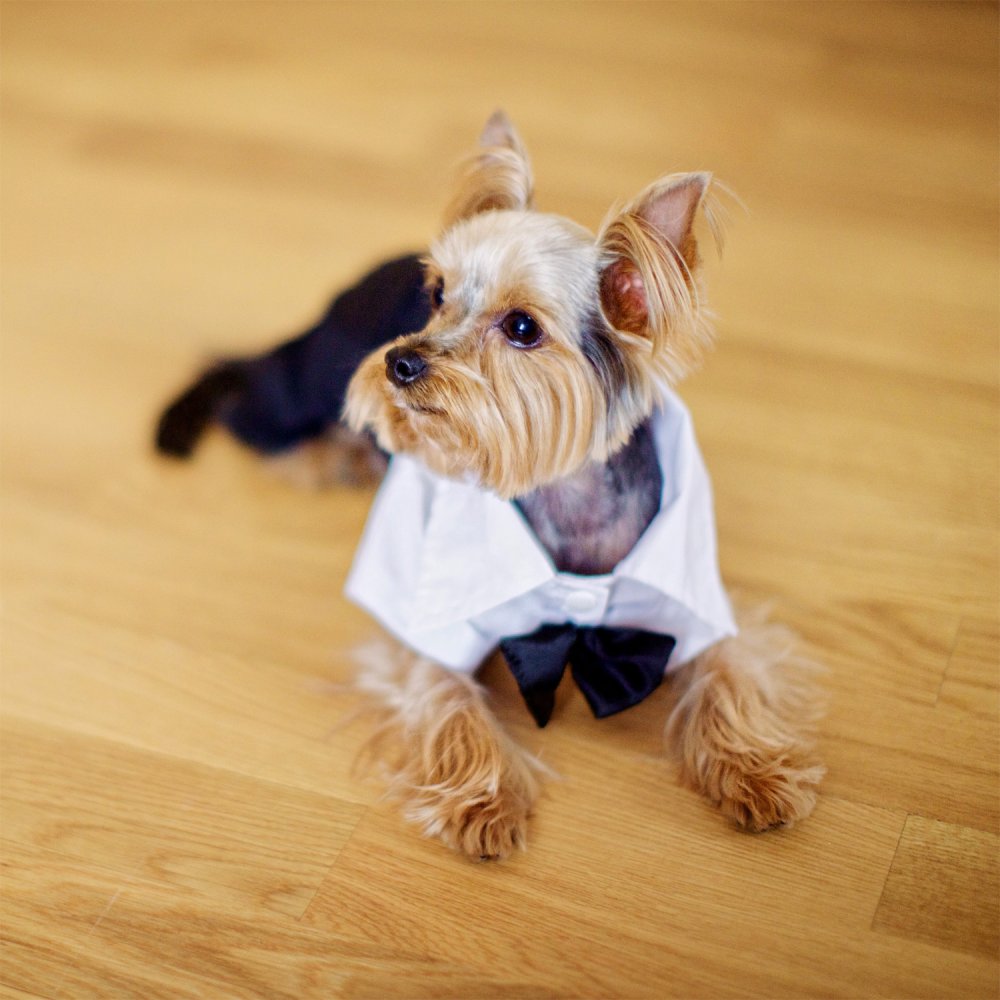 Свадьба в Чехии