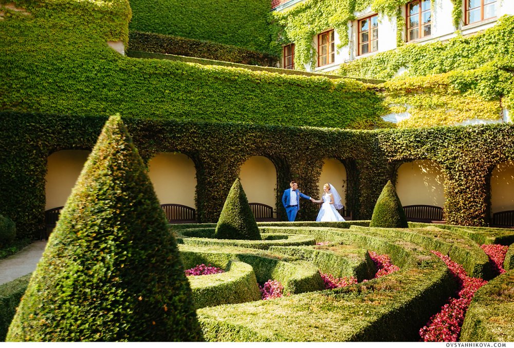 Свадьба в Дворцовых Садах