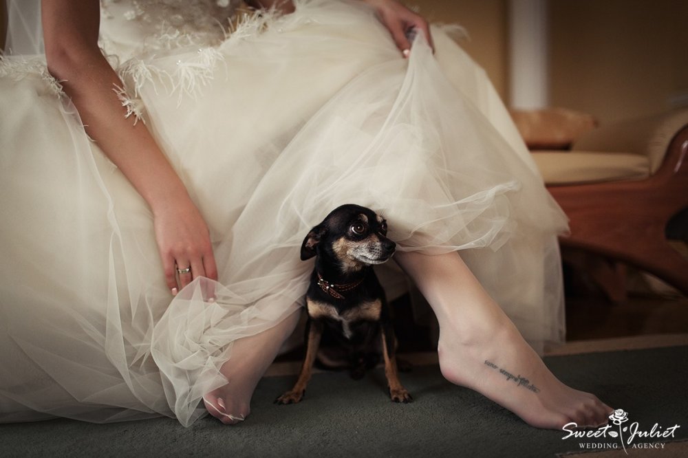 Свадьба в Польше. Организация свадьбы Sweet Juliet wedding agency 
Фотограф Евгения Павлович