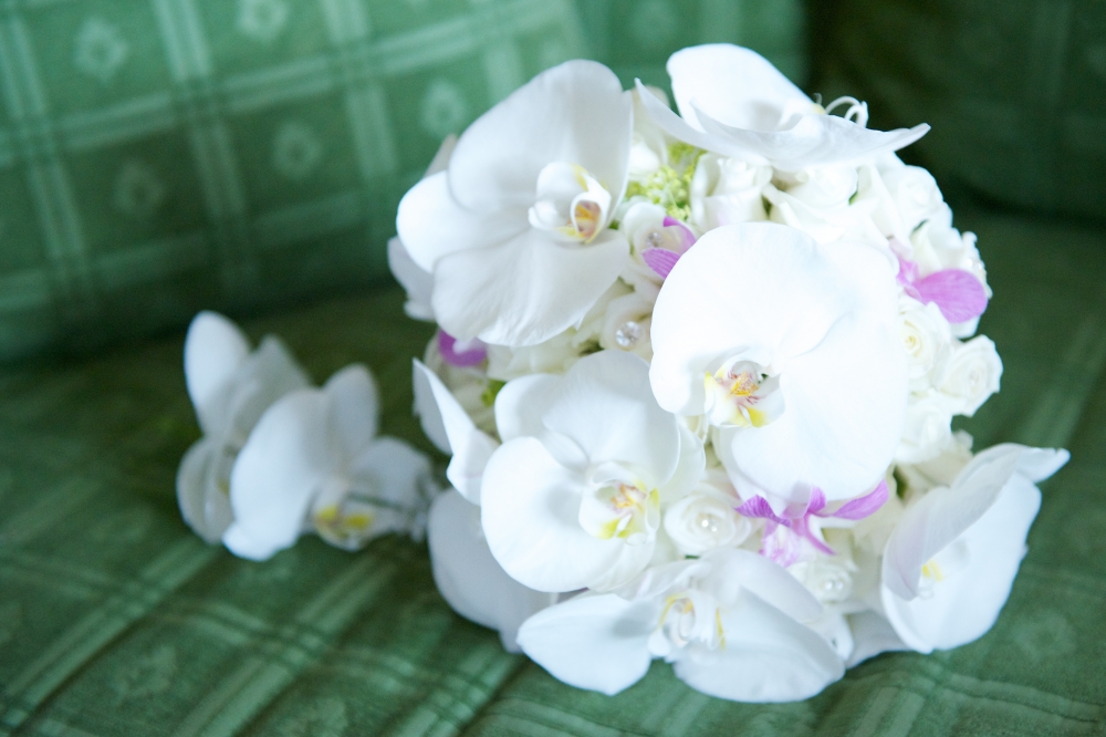 Букет из белых орхидей – изысканно, нежно и романтично
