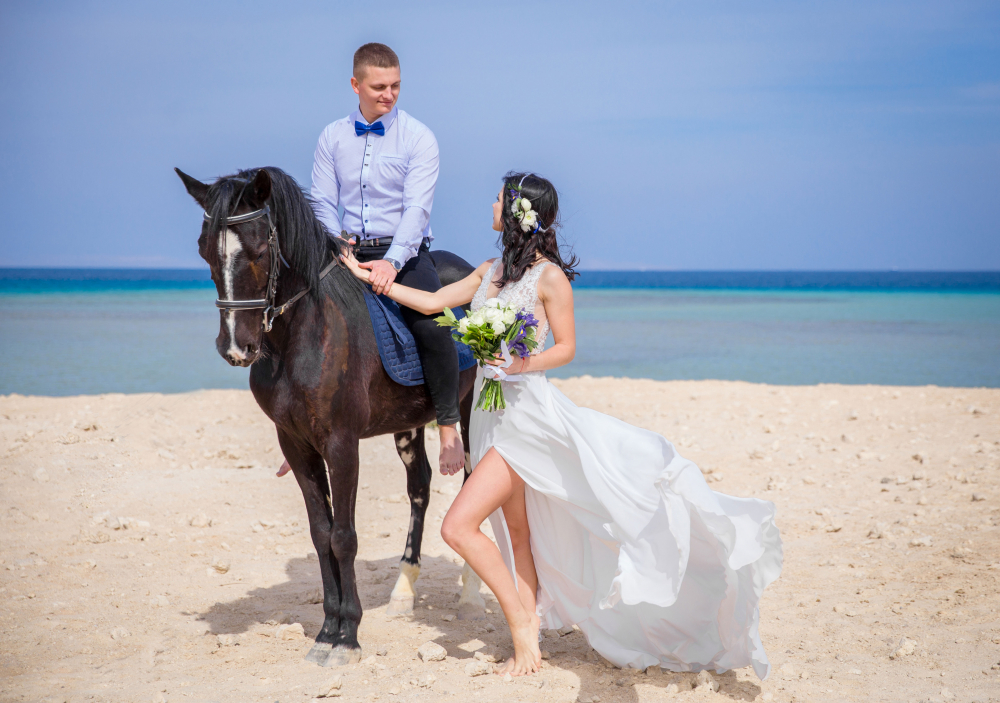 Мини- свадебная церемония "Джунгли любви" Сахл Хашиш, Хургада, Египет. Свадьба за границей.