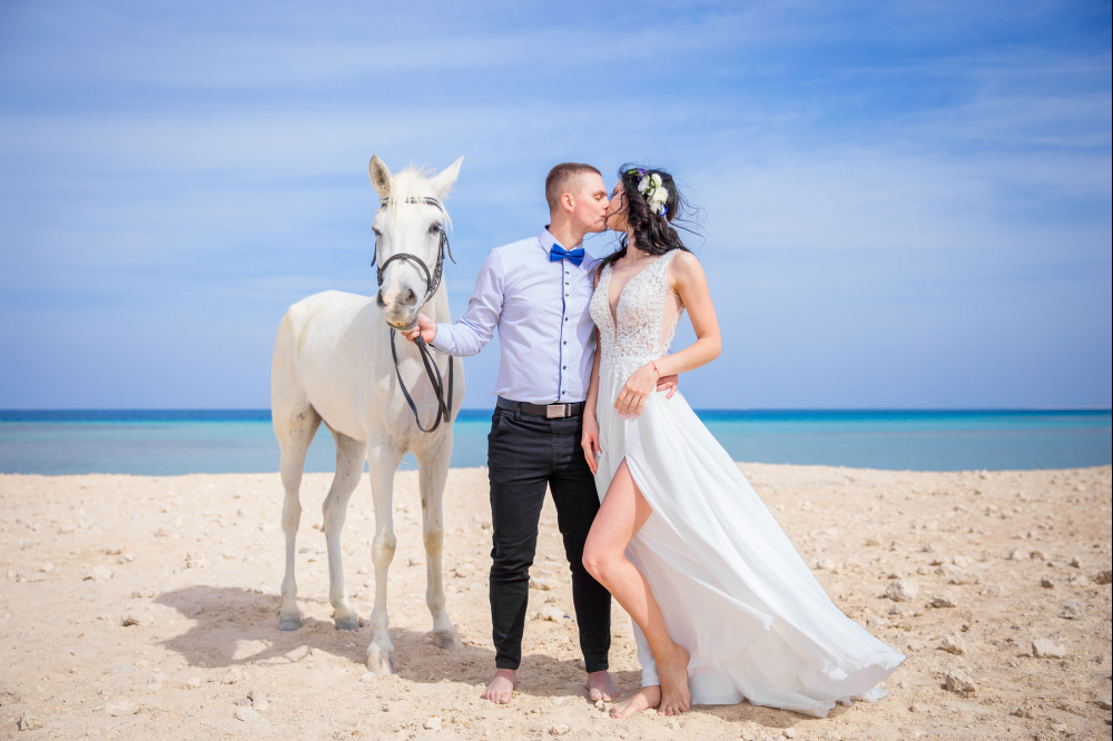 Мини- свадебная церемония "Джунгли любви" Сахл Хашиш, Хургада, Египет. Свадьба за границей.