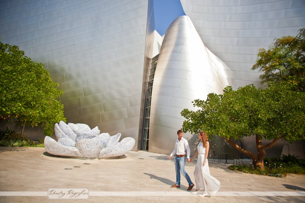 Медовый месяц в США