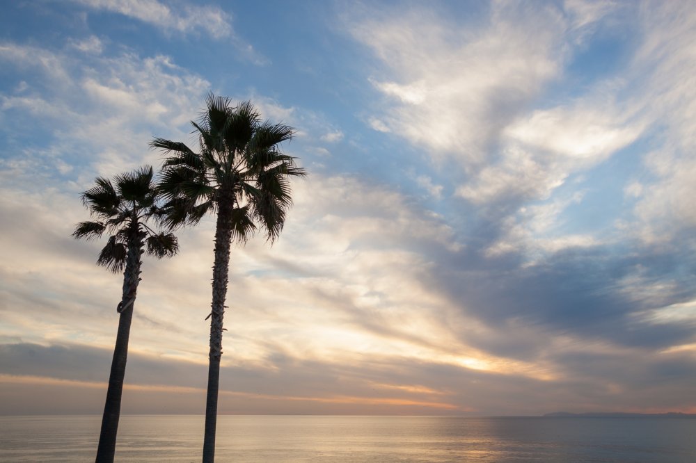 свадьба в америке