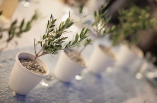 Цветы в горшках в свадебном оформлении