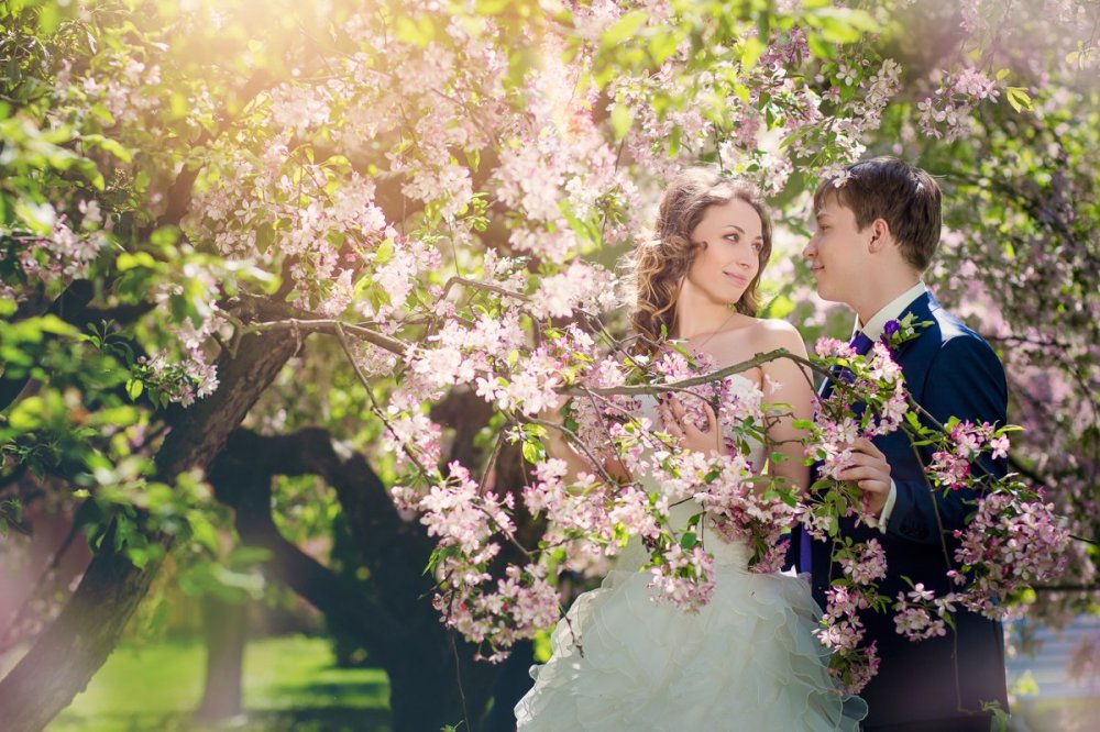 Свадьба в Праге весной