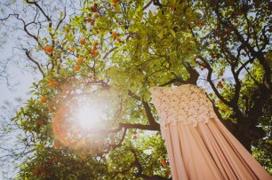 Платье невесты в апельсиновой роще