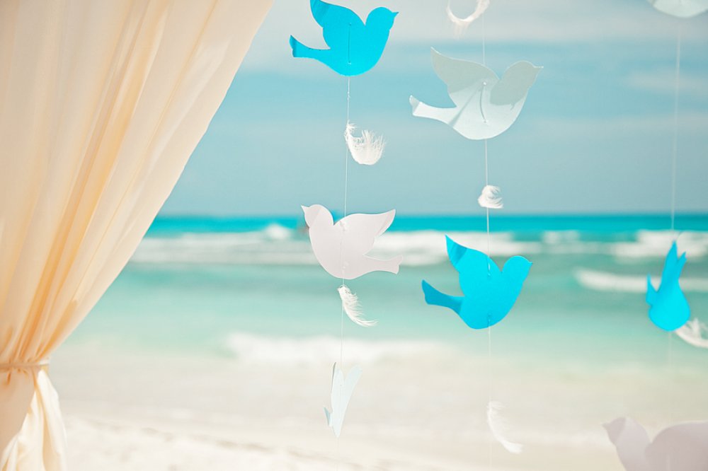 свадьба в Доминикане, остров Саона, свадьба за границей, отзывы, цена