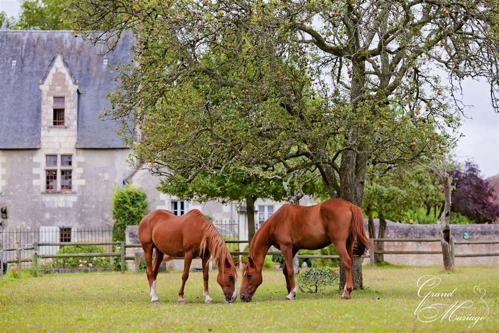 Свадьба в Замках Франции Grandmariage.fr