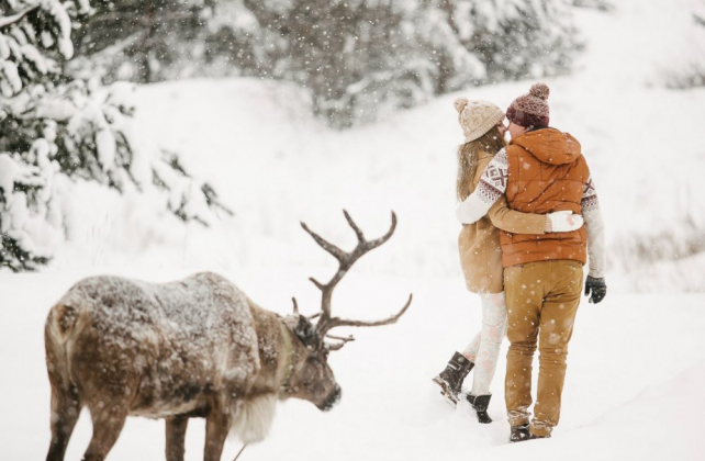 зимняя фотосессия лав стори, прогулка с оленем в зимнем лесу, фотограф СВАДЕБНАЯ КОМАНДА МЁД