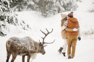 Зимняя прогулка