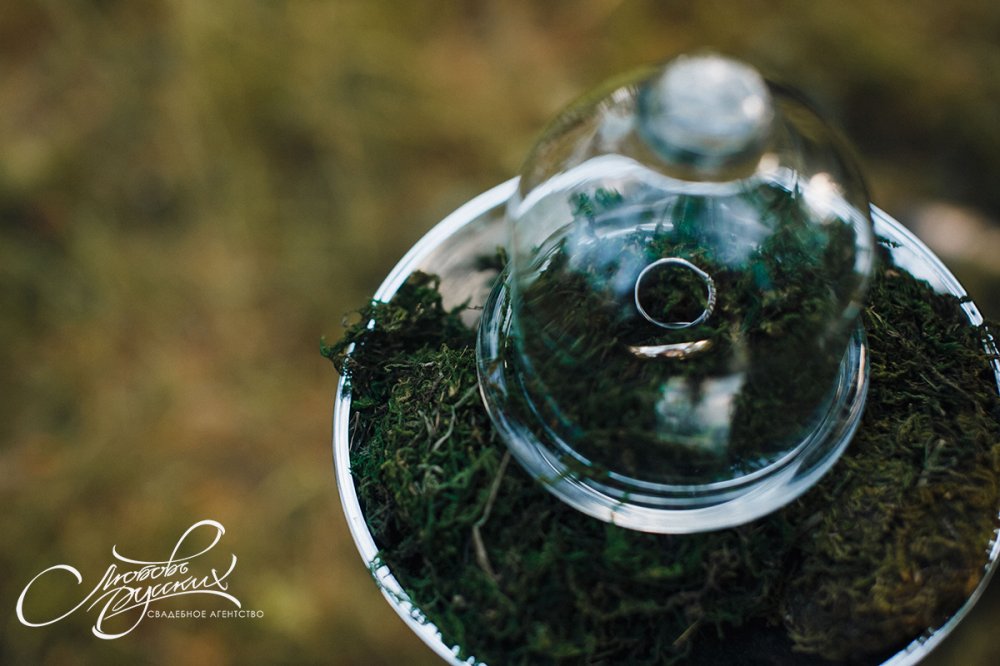 Организация: Свадебное агентство "Любовь Русских"
Фото: Аня Нагайцева