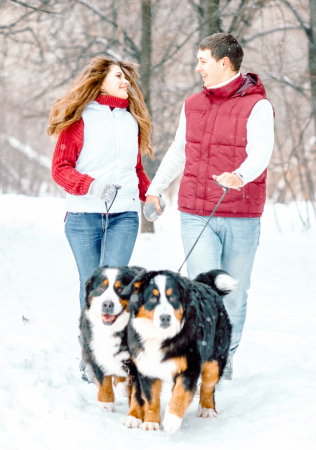 зимняя фотосессия лав стори, прогулка с собаками по зимнему лесу, организатор KATE & LEO