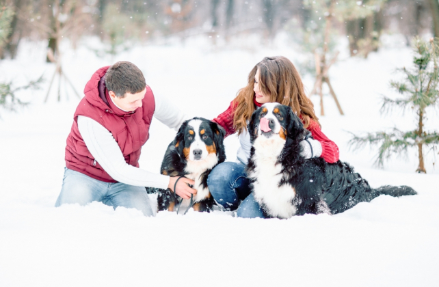 фотосессия love story с собаками, организатор KATE & LEO