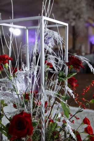 Зимняя сказка Анны и Петра