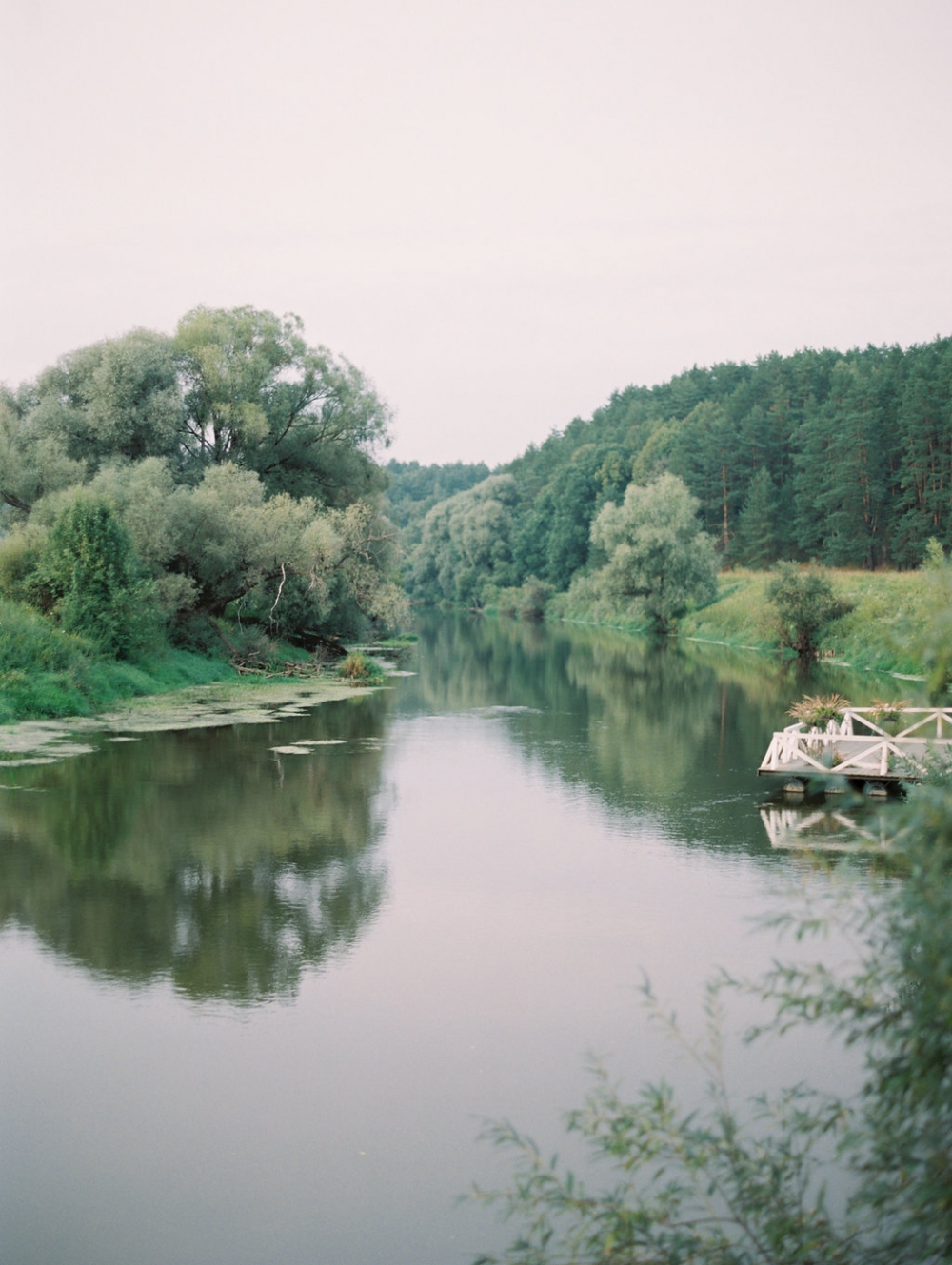 Проект Pine River