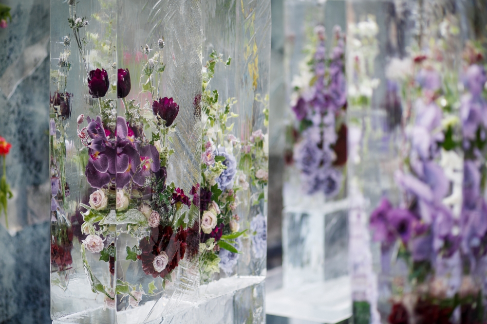 Живые цветы, вмороженные в глыбы льда на свадьбе Инны и Олега
