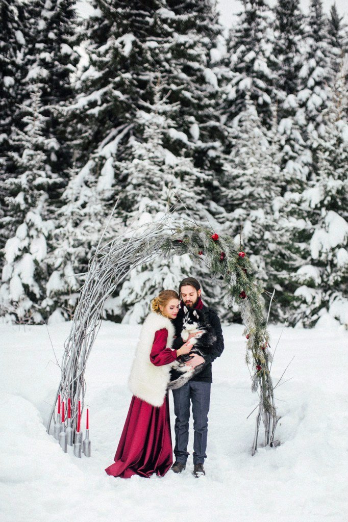 Молодожены на фоне свадебной арки зимой с маленьким хаски на руках