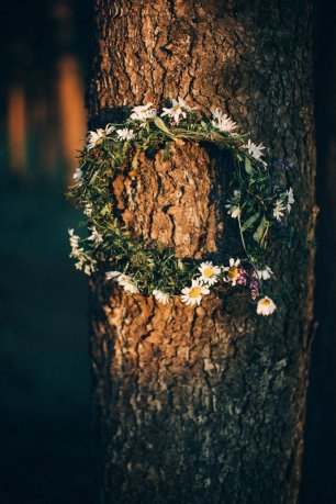 Венок невесты из ромашек и полевых цветов на дереве