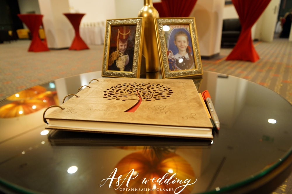 Владимир & Анастасия 28.11.2015