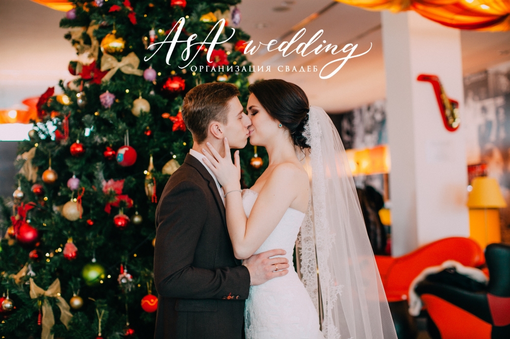 Владимир & Анастасия 28.11.2015