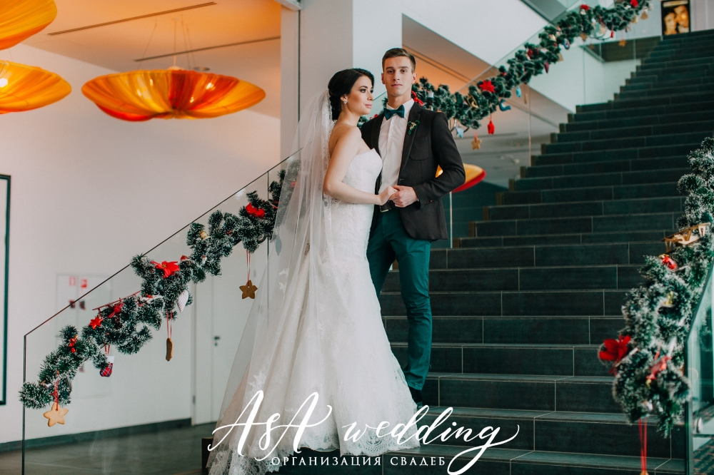 Владимир & Анастасия 28.11.2015