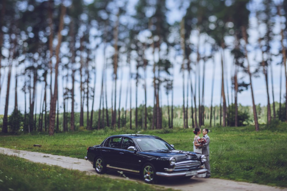 Фото: Евгений Лукьянов
Организация: Адмирал wedding