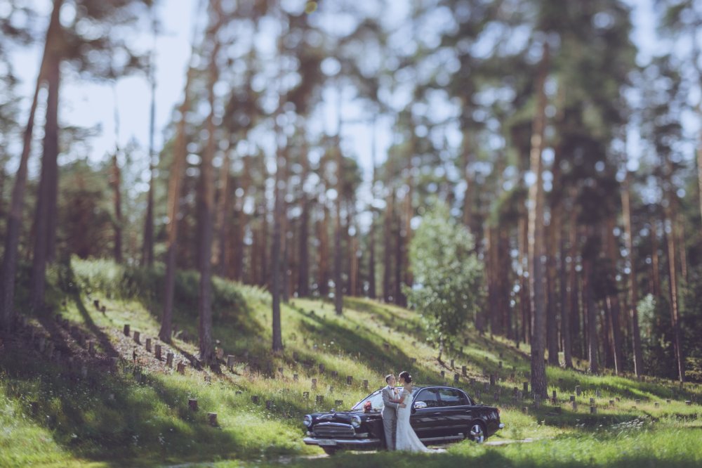 Фото: Евгений Лукьянов
Организация: Адмирал wedding