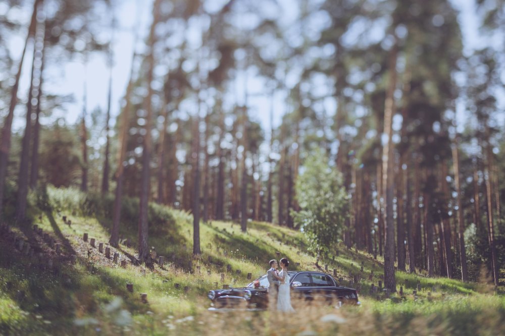 Фото: Евгений Лукьянов
Организация: Адмирал wedding