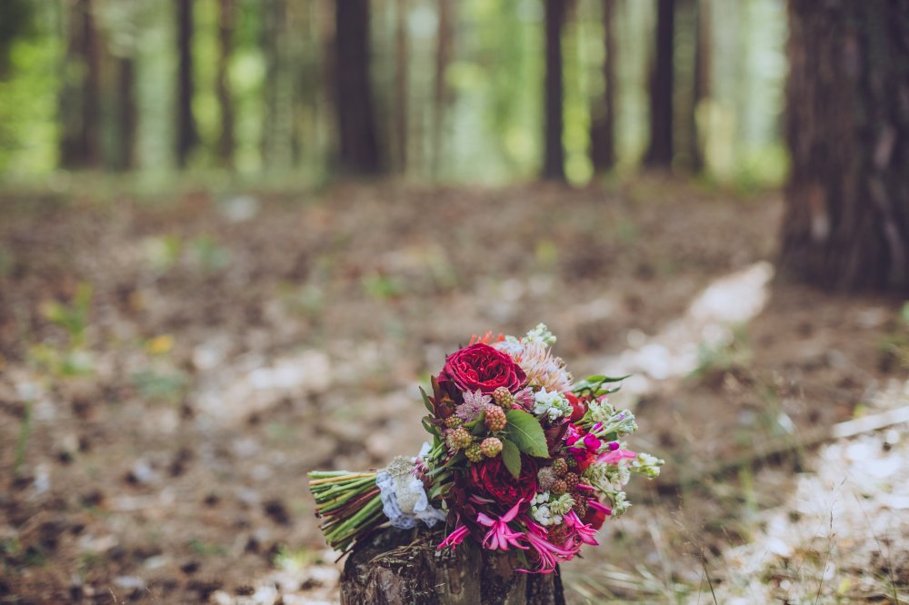 Фото: Евгений Лукьянов
Организация: Адмирал wedding