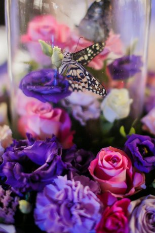 Живые бабочки в оформлении банкета