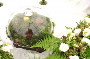 Композиция на стол из мха и грибов