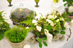 Лесная история