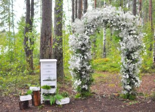 Выездная регистрация на лесной полянке