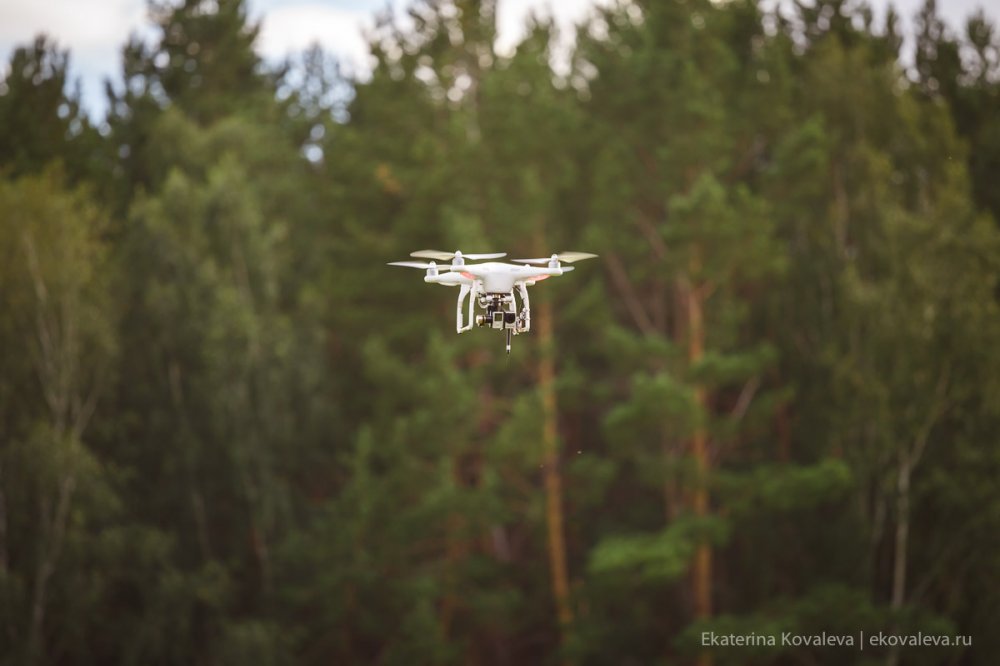 Организатор: FERZ wedding agency Декор | Флористика: LUBLU 
Фото: Екатерина Ковалева