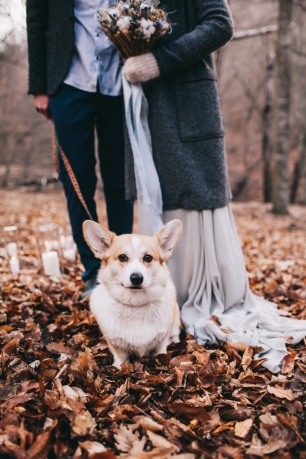 Выездная церемония с самыми близкими. Животные на свадьбе.