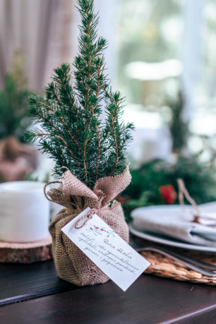 Снежно-нежная свадьба Анастасии и Данилы