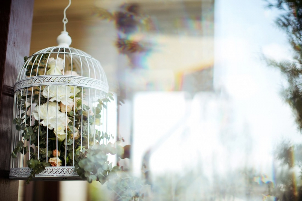 Свадьба Юли и Кости