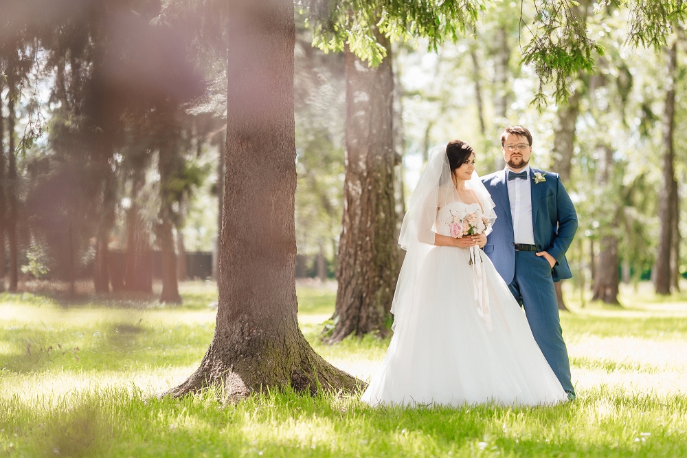 Свадьба Алёны и Андрея. Июнь 2017г