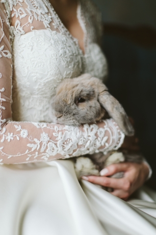 Пушистый друг невесты