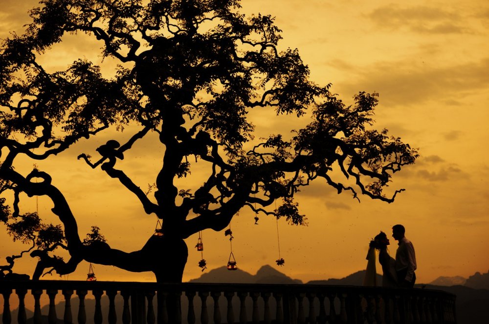 Весной мы – Positive Wedding & Event проводили масштабный конкурс «Выиграй свадьбу в итальянском дворце» в Челябинске и Екатеринбурге, но тогда мы даже и представить не могли, насколько бесподобной будет наша пара победителей. Мы влюбились в Наталью и Владимира безвозвратно еще на II этапе конкурса, окунувшись в безумно романтичную историю их любви.

Подробнее об итальянской свадьбе мечты читайте у нас на сайте: http://positive-wedding.ru/our-wedding/221-italian-wedding