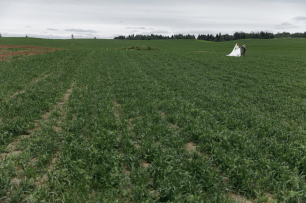 Прогулка Найнты и Анны